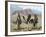 Three Cowboys-Carolyne Hawley-Framed Art Print