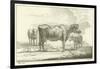 Three Cows-Aelbert Cuyp-Framed Giclee Print