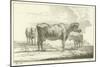 Three Cows-Aelbert Cuyp-Mounted Giclee Print