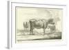 Three Cows-Aelbert Cuyp-Framed Giclee Print