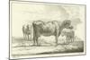 Three Cows-Aelbert Cuyp-Mounted Giclee Print