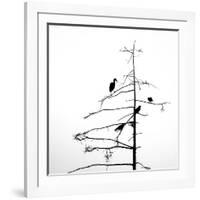 Three Crows and a Heron-Ursula Abresch-Framed Photographic Print