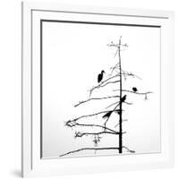 Three Crows and a Heron-Ursula Abresch-Framed Photographic Print