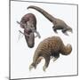 Three-Cusped or Tree Pangolin (Manis Tricuspis)-null-Mounted Giclee Print