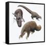 Three-Cusped or Tree Pangolin (Manis Tricuspis)-null-Framed Stretched Canvas