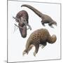 Three-Cusped or Tree Pangolin (Manis Tricuspis)-null-Mounted Giclee Print