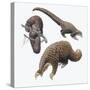 Three-Cusped or Tree Pangolin (Manis Tricuspis)-null-Stretched Canvas