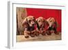 Three Dachshund Puppies-null-Framed Art Print