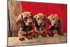 Three Dachshund Puppies-null-Mounted Art Print