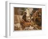 Three Dachshunds Have a Great Time with Master's Papers-null-Framed Photographic Print