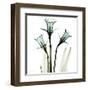 Three Daffodils in Green-Albert Koetsier-Framed Art Print