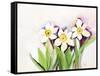 Three Daffodils-Neela Pushparaj-Framed Stretched Canvas