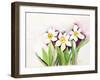 Three Daffodils-Neela Pushparaj-Framed Giclee Print