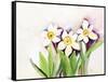 Three Daffodils-Neela Pushparaj-Framed Stretched Canvas