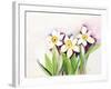 Three Daffodils-Neela Pushparaj-Framed Giclee Print