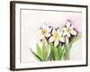 Three Daffodils-Neela Pushparaj-Framed Giclee Print