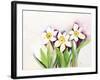 Three Daffodils-Neela Pushparaj-Framed Giclee Print