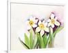 Three Daffodils-Neela Pushparaj-Framed Giclee Print