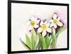 Three Daffodils-Neela Pushparaj-Framed Giclee Print