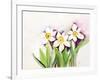 Three Daffodils-Neela Pushparaj-Framed Giclee Print