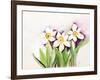 Three Daffodils-Neela Pushparaj-Framed Giclee Print