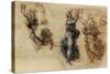 Three Dancing Figures and a Study of a Head-Leonardo da Vinci-Stretched Canvas