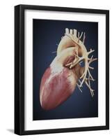 Three Dimensional View of Human Heart-Stocktrek Images-Framed Art Print