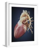 Three Dimensional View of Human Heart-Stocktrek Images-Framed Art Print