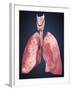 Three Dimensional View of Human Lungs-Stocktrek Images-Framed Art Print