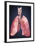 Three Dimensional View of Human Lungs-Stocktrek Images-Framed Art Print