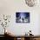Three Dog Night-Spencer Williams-Giclee Print displayed on a wall