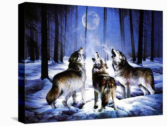 Three Dog Night-Spencer Williams-Stretched Canvas