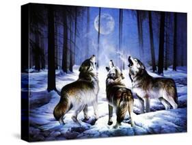 Three Dog Night-Spencer Williams-Stretched Canvas