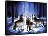 Three Dog Night-Spencer Williams-Framed Stretched Canvas