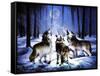 Three Dog Night-Spencer Williams-Framed Stretched Canvas
