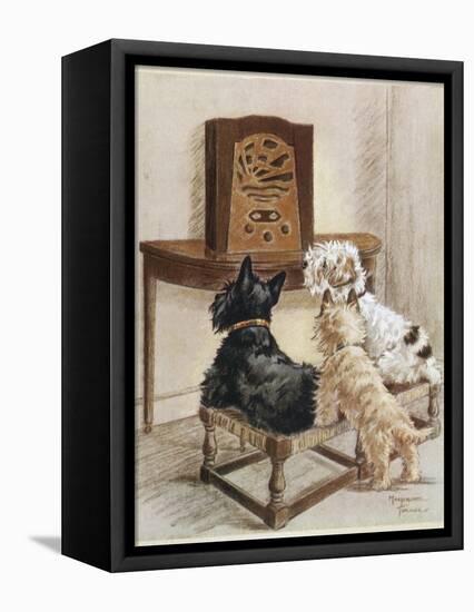Three Dogs Enjoy a Radio Broadcast-Marjorie Turner-Framed Stretched Canvas