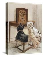 Three Dogs Enjoy a Radio Broadcast-Marjorie Turner-Stretched Canvas