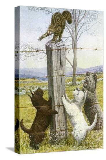 Stretched Canvas Print, , large