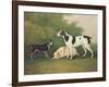 Three Dogs in a Landscape-John Boultbee-Framed Giclee Print