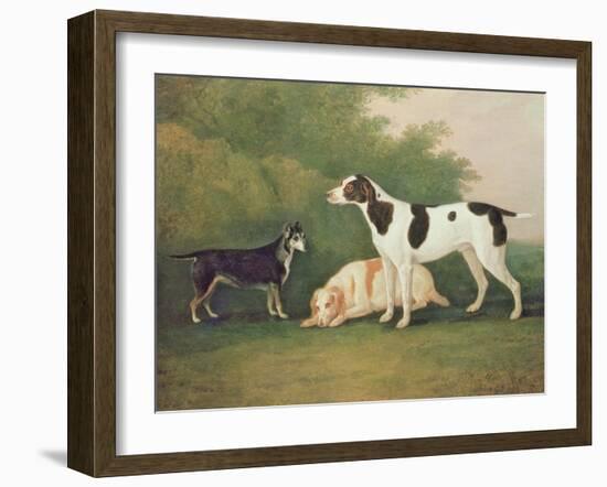 Three Dogs in a Landscape-John Boultbee-Framed Giclee Print