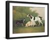 Three Dogs in a Landscape-John Boultbee-Framed Giclee Print