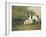 Three Dogs in a Landscape-John Boultbee-Framed Giclee Print