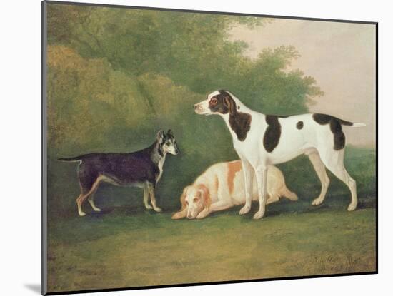 Three Dogs in a Landscape-John Boultbee-Mounted Giclee Print