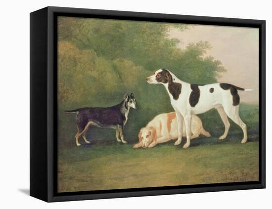 Three Dogs in a Landscape-John Boultbee-Framed Stretched Canvas