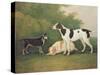 Three Dogs in a Landscape-John Boultbee-Stretched Canvas