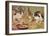 Three Domestic Rabbits Look Suspiciously at a Fluffy Yellow Chick-null-Framed Art Print