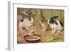 Three Domestic Rabbits Look Suspiciously at a Fluffy Yellow Chick-null-Framed Art Print