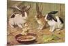 Three Domestic Rabbits Look Suspiciously at a Fluffy Yellow Chick-null-Mounted Premium Giclee Print