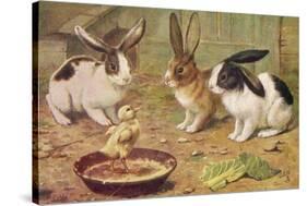 Three Domestic Rabbits Look Suspiciously at a Fluffy Yellow Chick-null-Stretched Canvas