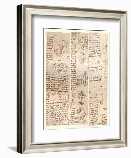 Three drawings, c1472-c1519 (1883)-Leonardo Da Vinci-Framed Giclee Print